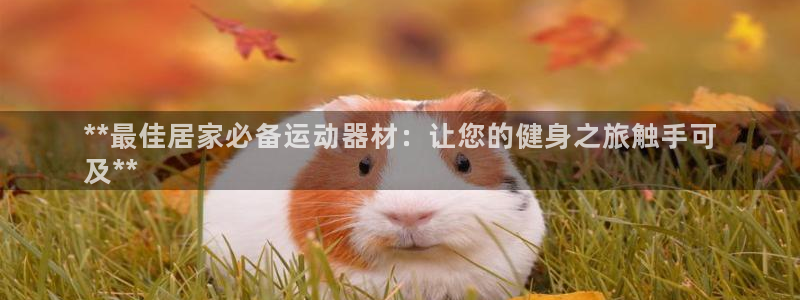 意昂3集团简介：**最佳居家必备运动器材：让您的健身