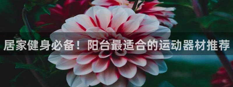 意昂体育3招商电话号码：居家健身必备！阳台最适合的运动器材推