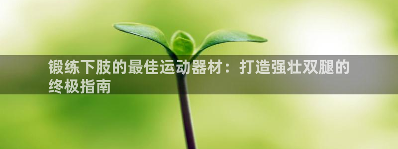 意昂体育3招商电话地址：锻练下肢的最佳运动器材：打造