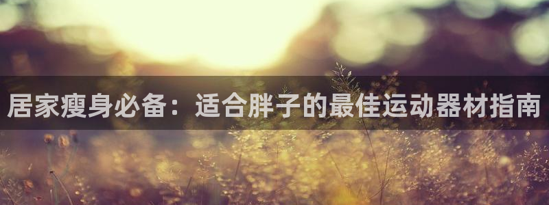意昂3五金厂：居家瘦身必备：适合胖子的最佳运动器材指