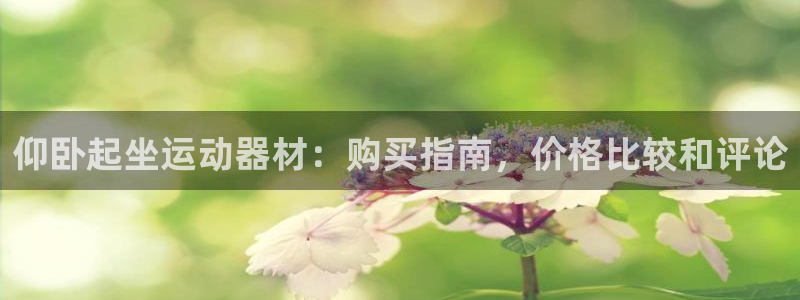意昂体育3招商电话号码是多少啊：仰卧起坐运动器材：购