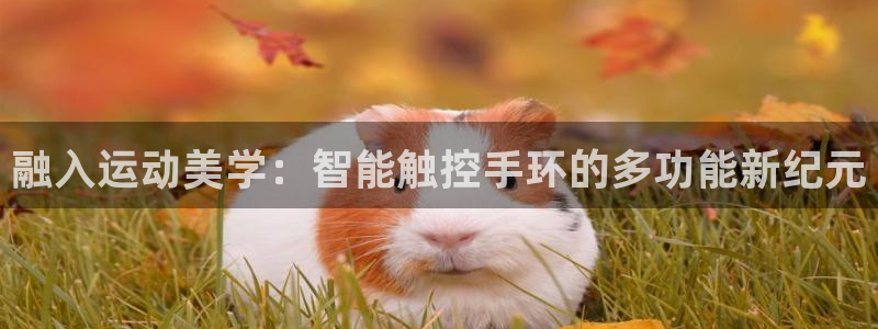 意昂体育3官方客服电话