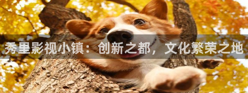 神秘影院