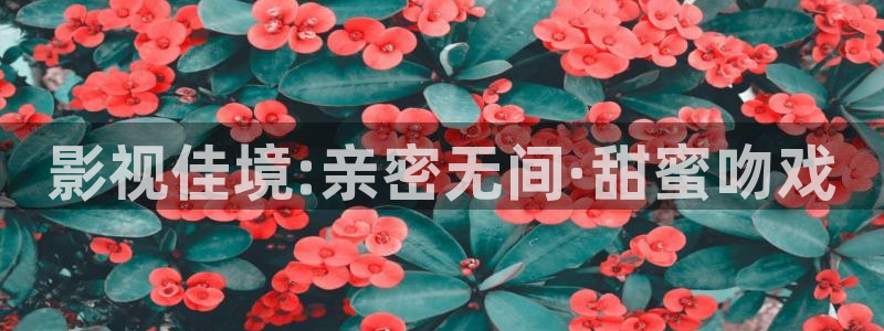 神秘电影影院