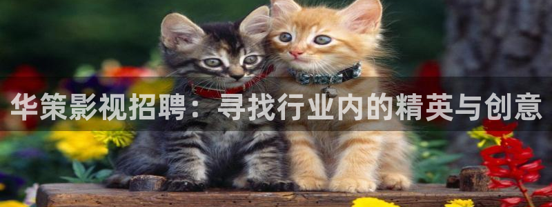 神秘电影国产影院