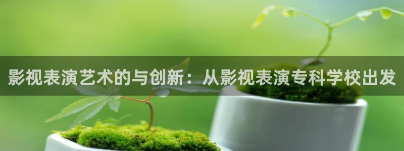 神秘博士高清免费观看